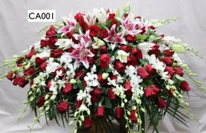 CA001