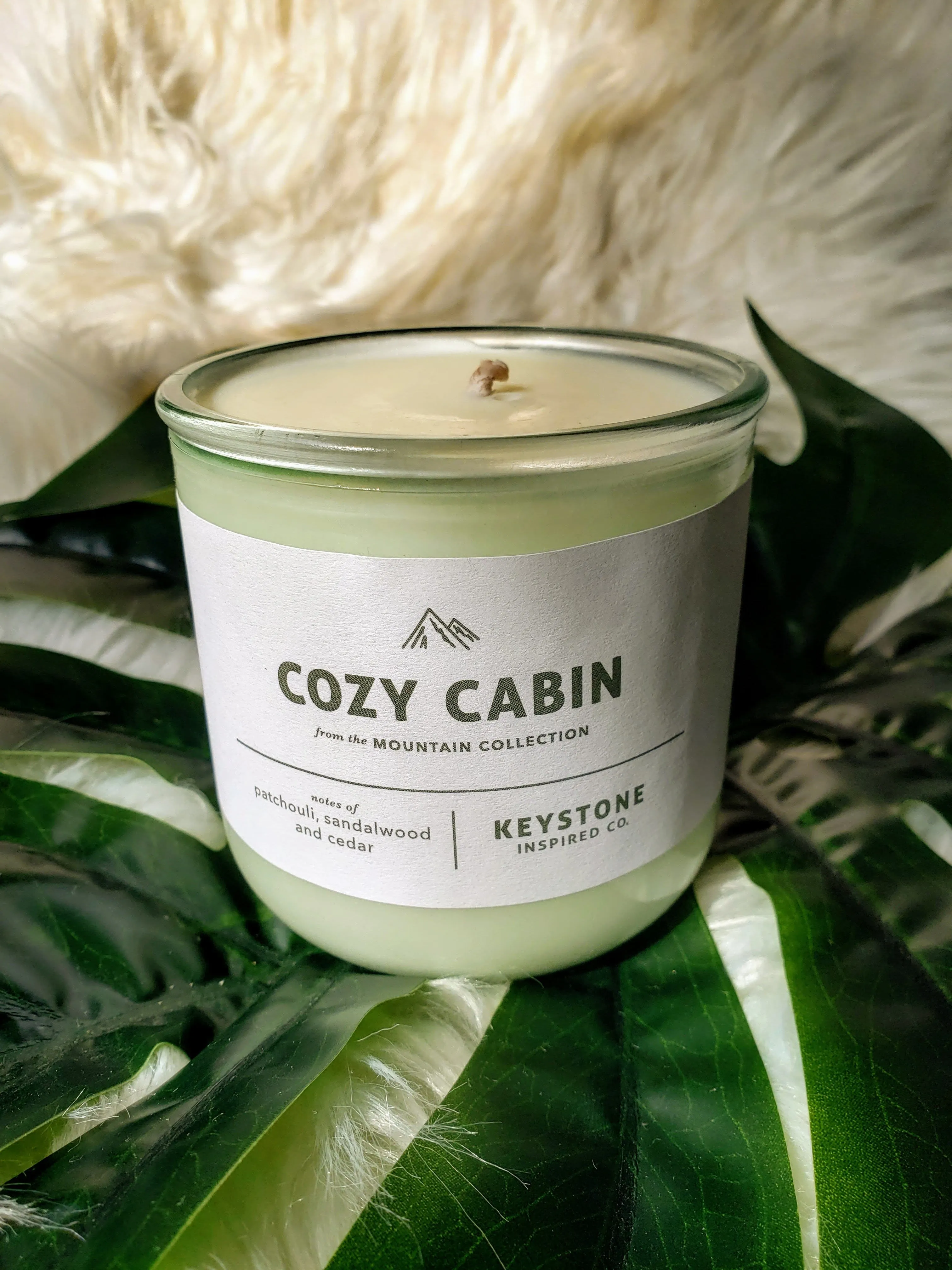 Cozy Cabin Candle