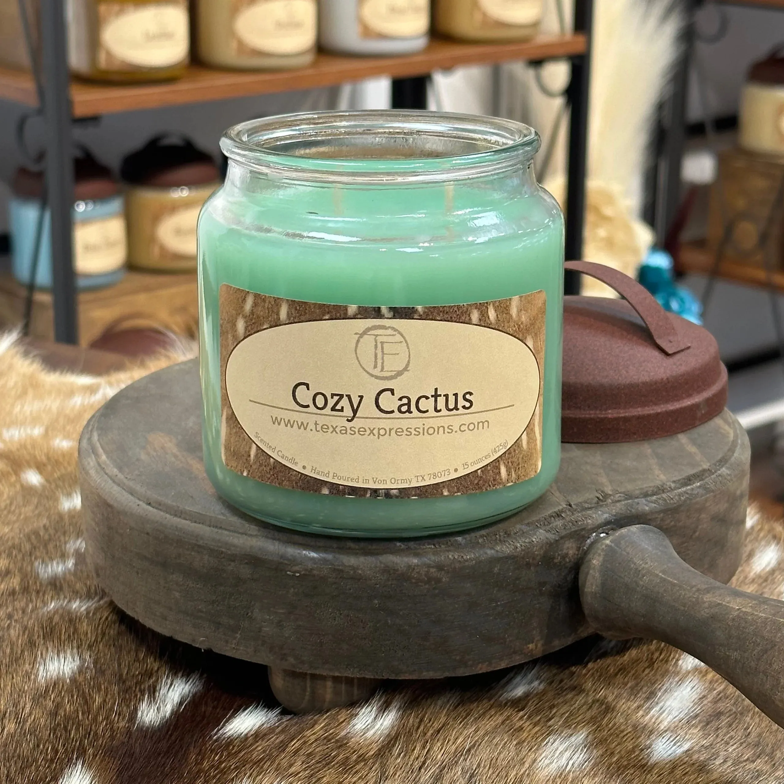 Cozy Cactus Texas Expressions Candle 16 Oz
