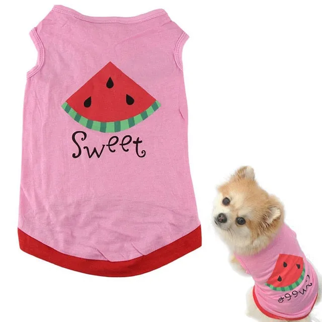 Sporty Summer Pet Vests
