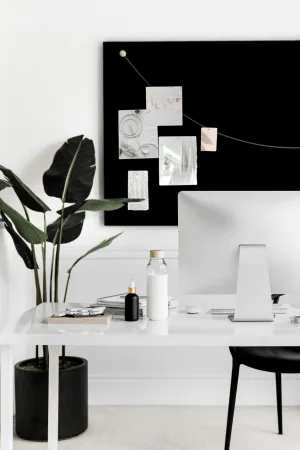 Stock Photography Agreement Bundle