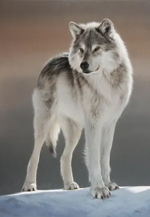 The Wild Within