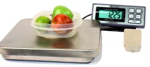 TREE PIZA  12 Bench Scale, 12 lb x 0.002 lb