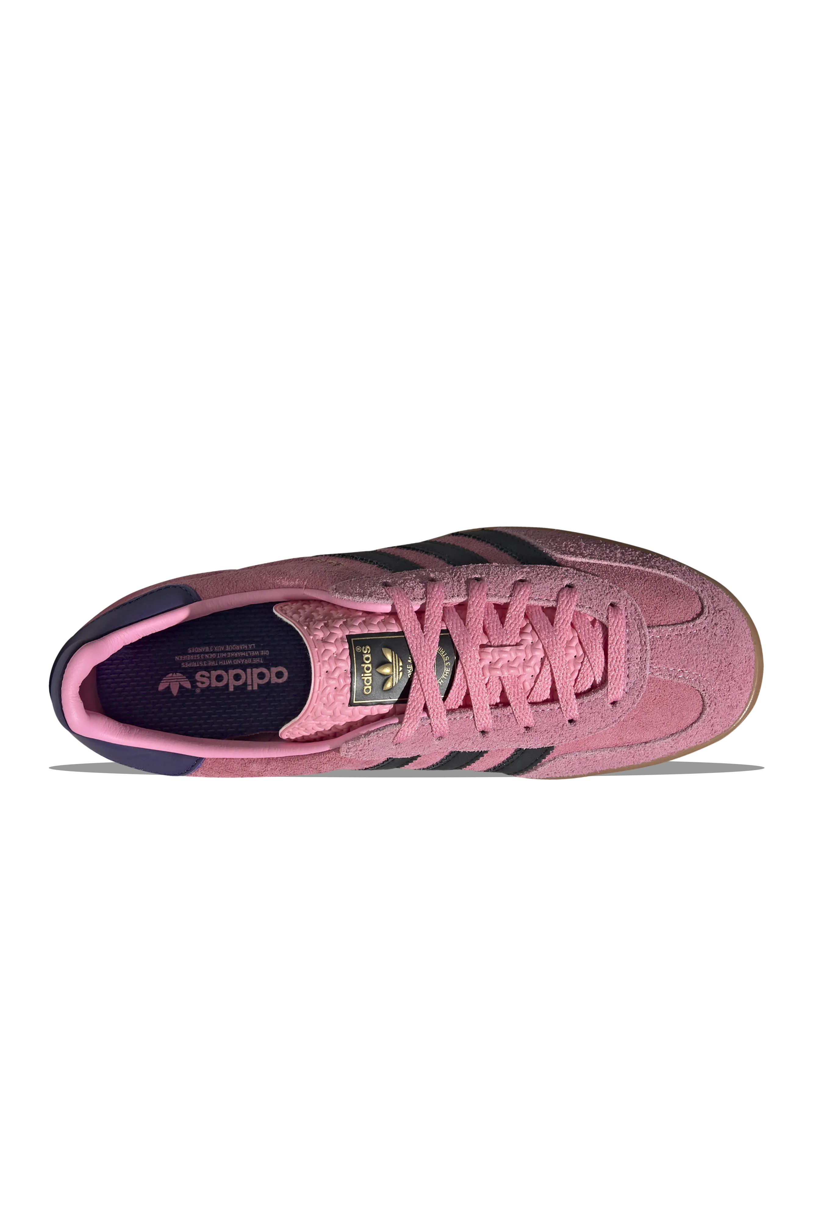 W Gazelle Indoor