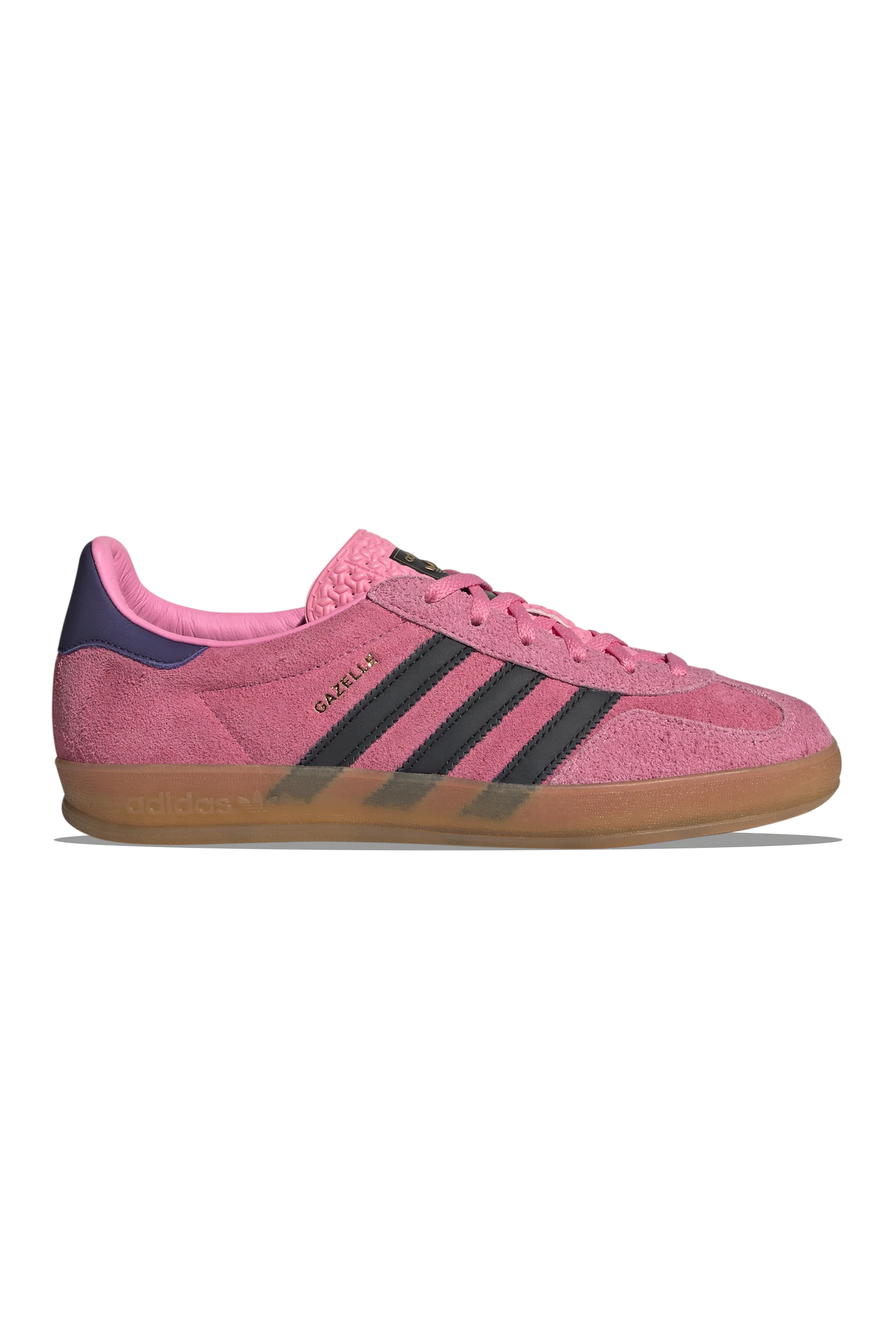W Gazelle Indoor