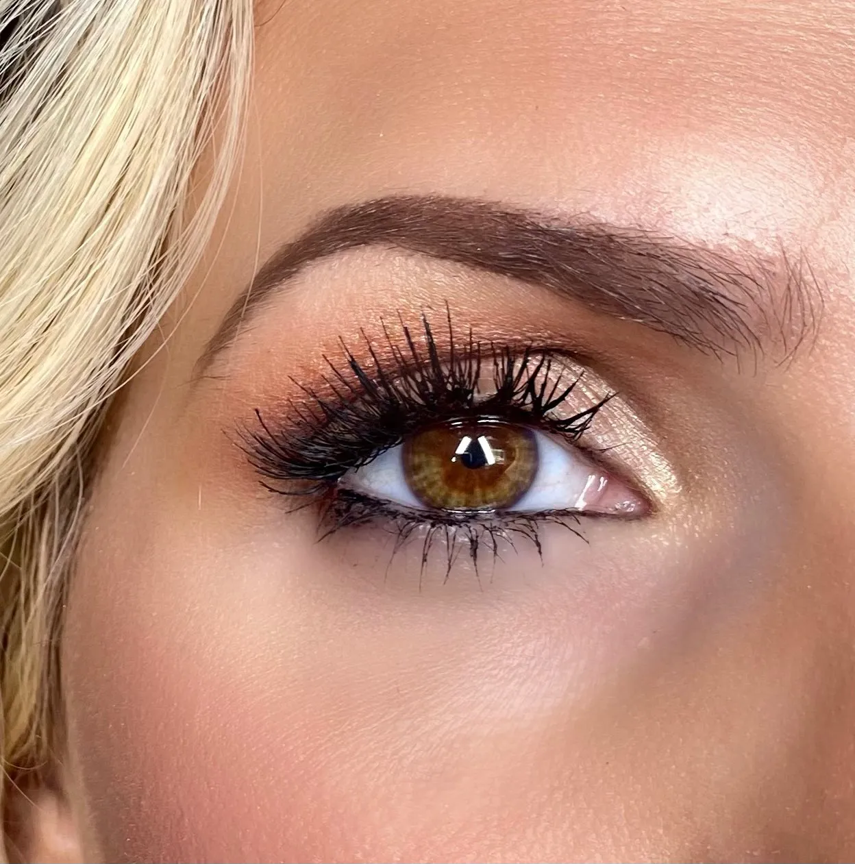 Warm Basics Palette