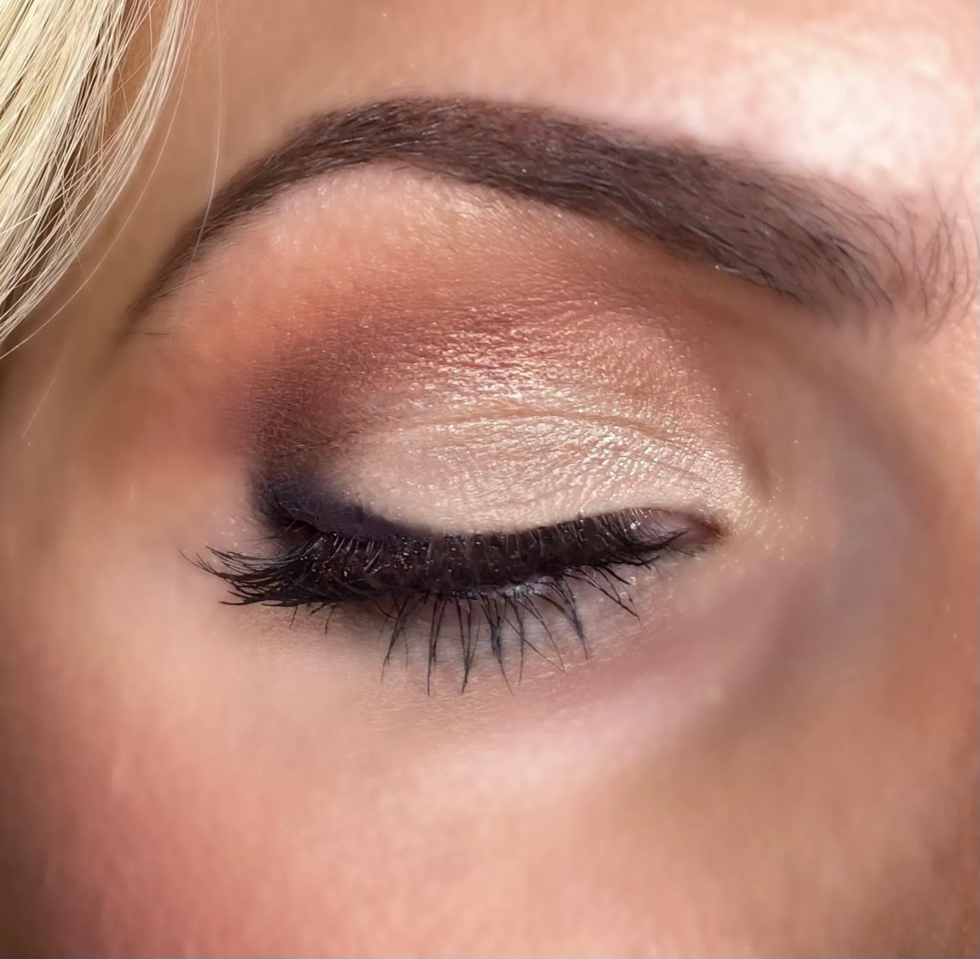 Warm Basics Palette