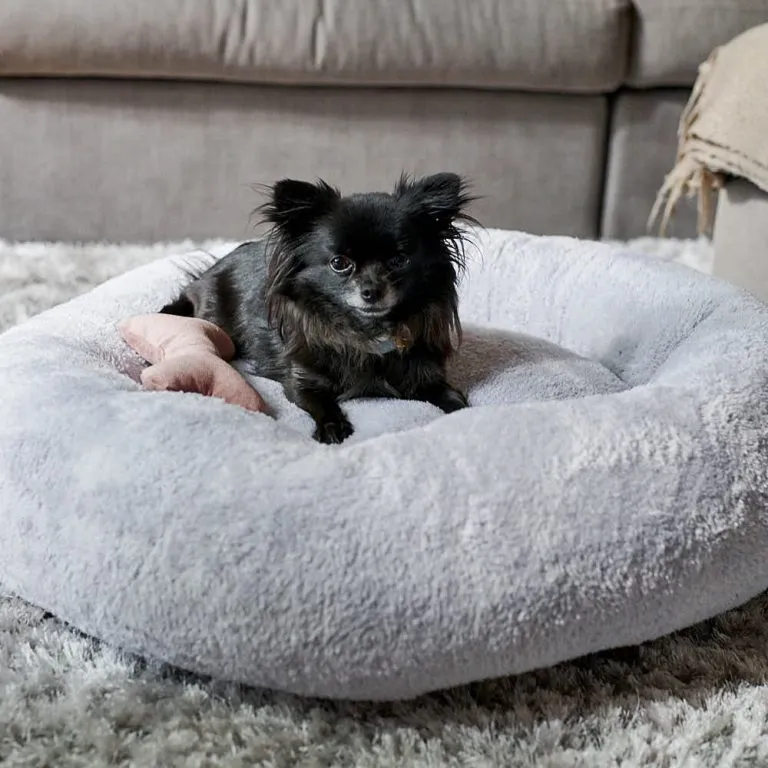 William Walker Dog Bed Comfy Cloud Sky