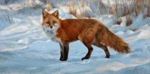 Winter Stroll
